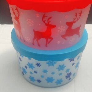 Christmas Holiday Plastic Containers-Set of 2(1 red, 1 blue)